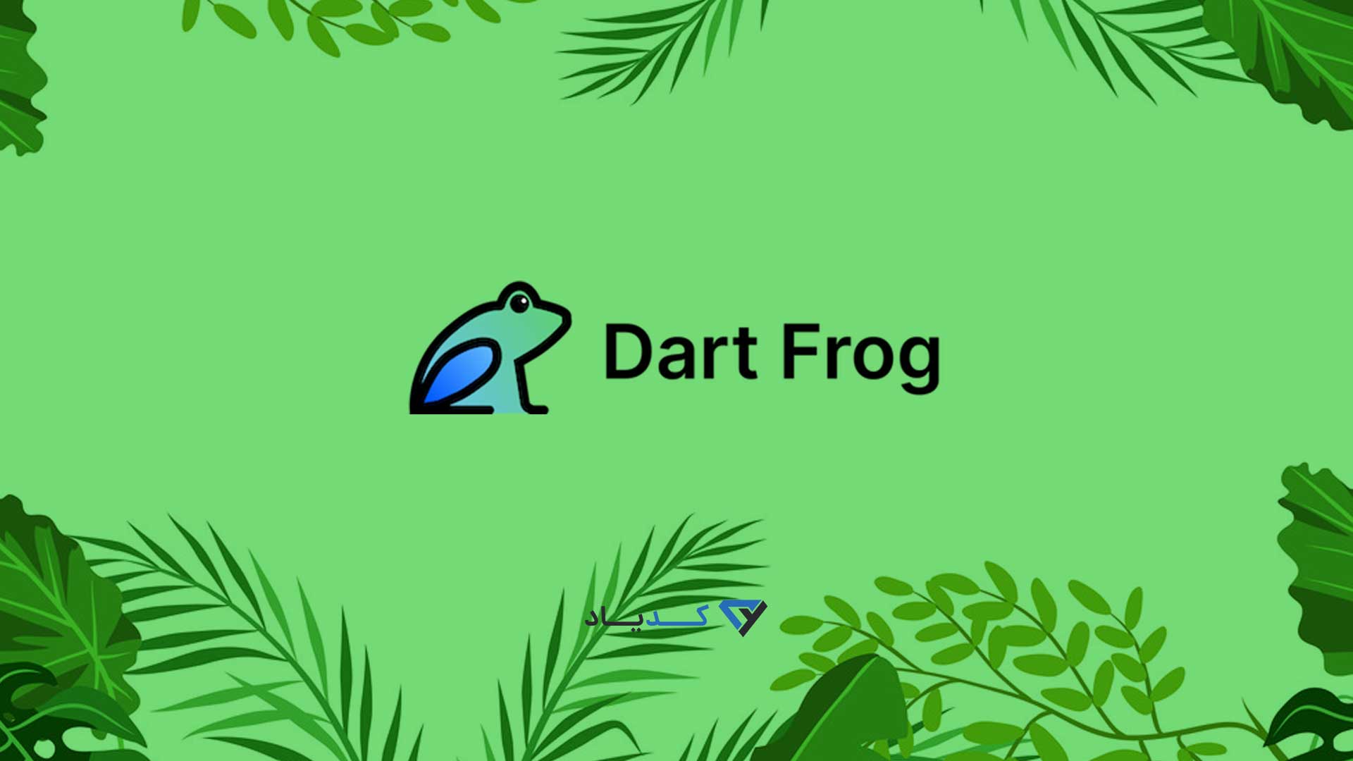 دارت فراگ چیست؟ + کاربردهای Dart Frog